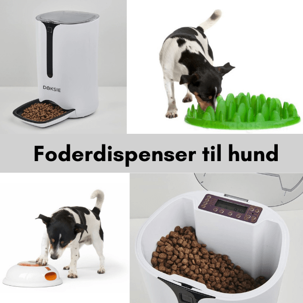 Bedste foderdispenser til hunde - god foderautomat til din hund
